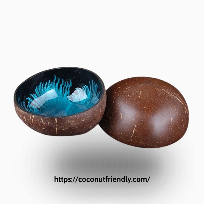 TOP 10+ Best Selling Blue Coconut Bowl 2023