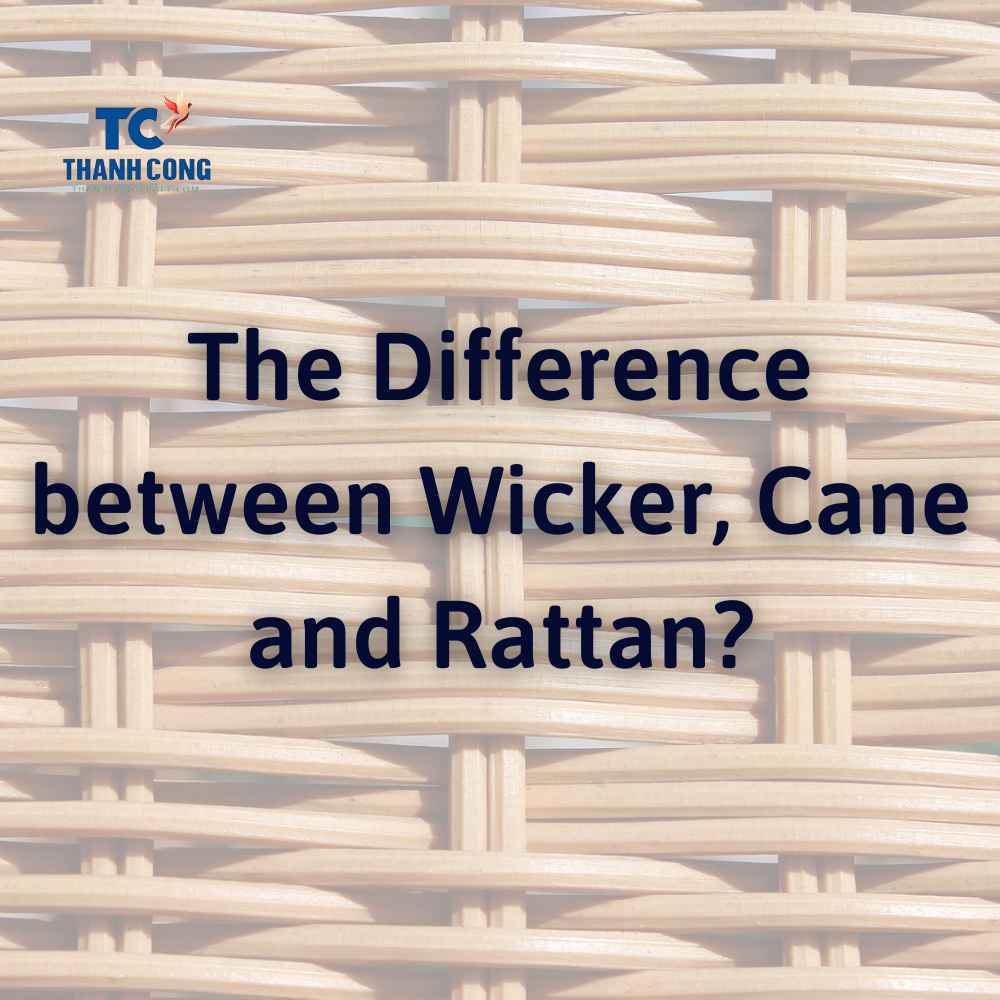 The Difference between Wicker, Cane and Rattan?